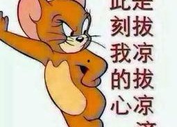 吃瓜群众照片可爱,吃瓜群众捕捉到的可爱瞬间