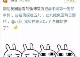 娱乐吃瓜大事件,揭秘年度最热吃瓜大事件