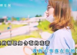 娱乐吃瓜小阿酱是谁啊小说,揭秘网络小说中的神秘女主角